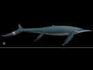 https://image.noelshack.com/fichiers/2025/37/4/1757591124-guizhouichthyosaurus.png