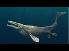 https://image.noelshack.com/fichiers/2025/37/4/1757592342-metriorhynchus.png
