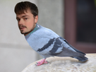 https://image.noelshack.com/fichiers/2025/38/5/1758262976-florian-pigeonned.jpg