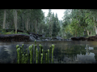 https://image.noelshack.com/fichiers/2025/39/2/1758588786-riverwood-01.jpeg