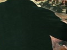 https://image.noelshack.com/fichiers/2025/39/3/1758728567-7-rhhwbvc6.png
