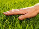 https://image.noelshack.com/fichiers/2025/39/4/1758757937-on-the-need-to-touch-grass.jpg