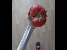 https://image.noelshack.com/fichiers/2025/39/5/1758893547-img-4336.jpeg