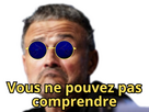 https://image.noelshack.com/minis/2025/40/4/1759411615-vous-ne-pouvez-pas-comprendre-luis-enrique.png