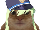https://image.noelshack.com/fichiers/2025/41/1/1759754373-chat-miroir-hikari.png