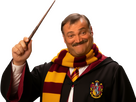 https://image.noelshack.com/fichiers/2025/43/2/1761062818-eggish-sorcier-harry-potter.png