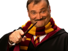 https://image.noelshack.com/fichiers/2025/43/2/1761063362-eggish-sorcier-harry-potter-menace.png