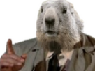 https://image.noelshack.com/fichiers/2025/44/3/1761760194-marmotte-doigt.png