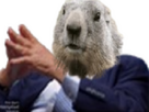 https://image.noelshack.com/fichiers/2025/44/3/1761760829-marmotte-cool.png