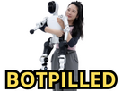 https://image.noelshack.com/fichiers/2025/45/2/1762214977-botpilled-1.png