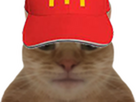 https://image.noelshack.com/fichiers/2025/45/5/1762486461-img-9890.png