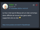 https://image.noelshack.com/fichiers/2025/46/6/1763210299-tulipe.jpg