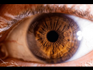 https://image.noelshack.com/fichiers/2025/47/5/1763731018-macro-detail-human-eye-brown-600nw-2278741045.jpg