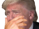 https://image.noelshack.com/fichiers/2025/48/3/1764167972-trumpy-main.jpg