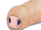 https://image.noelshack.com/minis/2025/49/6/1765044715-bite-kawai.png