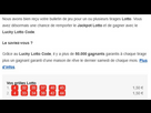 https://image.noelshack.com/fichiers/2025/50/4/1765464941-grilles-lotto.png