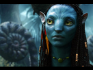https://image.noelshack.com/fichiers/2025/50/5/1765495926-1266716-zoe-saldana-dans-avatar-de-james-cameron.jpg