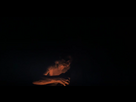 https://image.noelshack.com/fichiers/2025/50/5/1765548164-capture-d-e-cran-2025-12-12-a-15-02-17.png