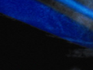 https://image.noelshack.com/fichiers/2025/50/7/1765671833-17-yksk4dqx.png