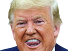 https://image.noelshack.com/fichiers/2025/51/6/1766226858-trump-langue-knifos.png