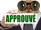 https://image.noelshack.com/fichiers/2025/52/4/1766683844-chatapprouve.png