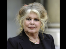 https://image.noelshack.com/fichiers/2025/52/7/1766919777-brigitte-bardot-photo-dr-1764241769.jpg