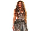 https://image.noelshack.com/fichiers/2026/01/4/1767241324-shakira-las-mujeres-ya-no-lloran-world-tour-en-buenos-air.jpg
