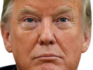 https://image.noelshack.com/fichiers/2026/01/6/1767442756-trump-concentre-knifos.png