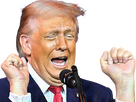https://image.noelshack.com/fichiers/2026/02/4/1767873500-trump-aaah-knifos.png