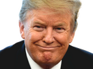 https://image.noelshack.com/fichiers/2026/04/2/1768870667-trump-content-knifos.png