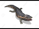 https://image.noelshack.com/fichiers/2026/04/3/1769017903-fggffff.png
