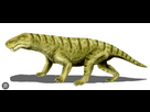 https://image.noelshack.com/fichiers/2026/04/3/1769021064-fggrrr.png