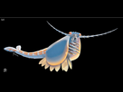 https://image.noelshack.com/fichiers/2026/04/3/1769035377-fffrrrr.png