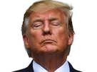 https://image.noelshack.com/fichiers/2026/04/3/1769036130-trump-plaisir-knifos.png