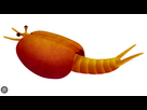 https://image.noelshack.com/fichiers/2026/04/3/1769036384-ffddff.png