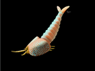 https://image.noelshack.com/fichiers/2026/04/4/1769036449-fgggggg.png