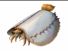 https://image.noelshack.com/fichiers/2026/04/4/1769036589-fffefff.png