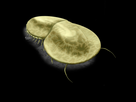 https://image.noelshack.com/fichiers/2026/04/4/1769039136-ffffdd.png
