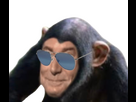 https://image.noelshack.com/fichiers/2026/04/5/1769159205-img-8071.png