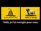 https://image.noelshack.com/fichiers/2026/04/7/1769363021-img-20260125-184250.jpg