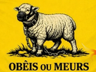 https://image.noelshack.com/fichiers/2026/04/7/1769363153-img-20260125-184531.png