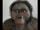 https://image.noelshack.com/fichiers/2026/05/2/1769508020-australopithecus-afarensis.png