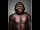 https://image.noelshack.com/fichiers/2026/05/2/1769508434-australopithecus-garhi.png