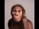 https://image.noelshack.com/fichiers/2026/05/2/1769508504-australopithecus-sediba.png