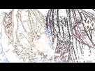 https://image.noelshack.com/minis/2026/05/3/1769557891-1000082247.png