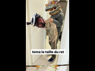 https://image.noelshack.com/fichiers/2026/05/3/1769559389-ghkftfygfhf-fotor-20250529202114.png