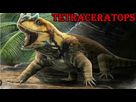 https://image.noelshack.com/fichiers/2026/05/4/1769644283-vvvvv.png