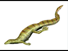 https://image.noelshack.com/fichiers/2026/05/4/1769646158-ffffdd.png