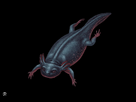 https://image.noelshack.com/fichiers/2026/05/4/1769646475-ddddss.png