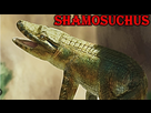 https://image.noelshack.com/fichiers/2026/05/5/1769778369-gghhh.png